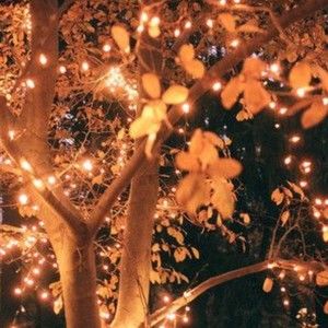 Meet your Posher, Alya